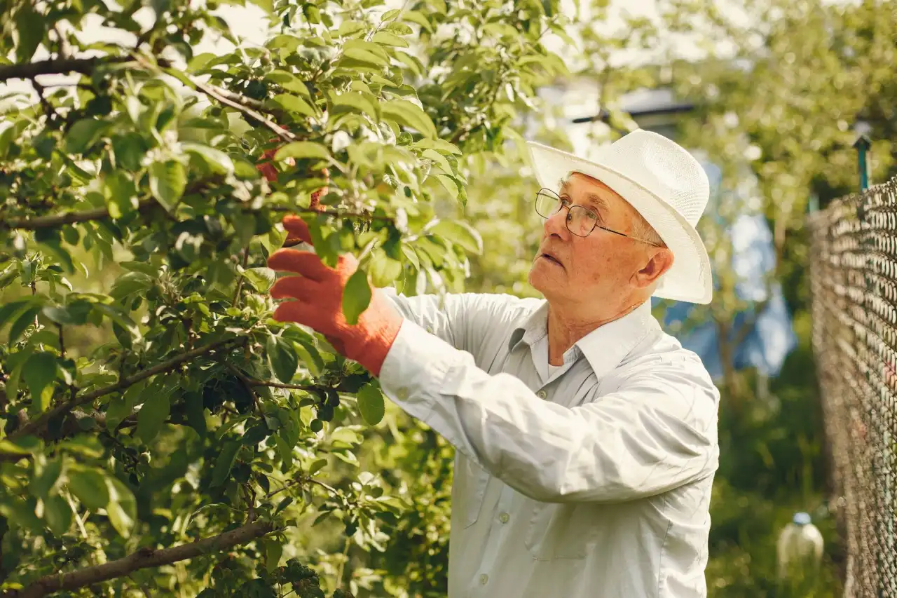 工业仓储货架选型要点与承重安全规范解读