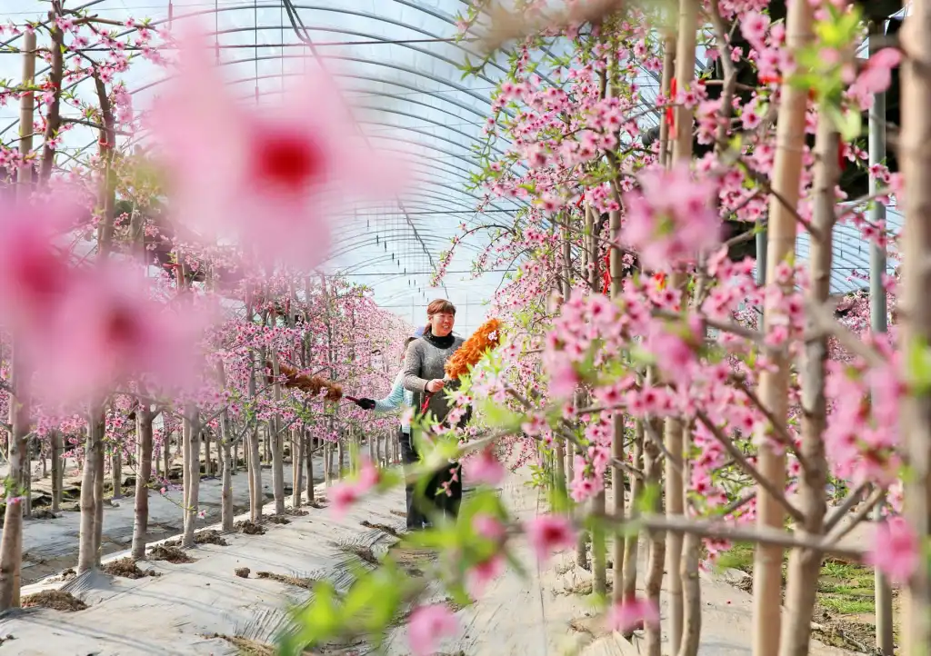 捶骋五金工具在建筑工地中的应用案例与效率提升分析