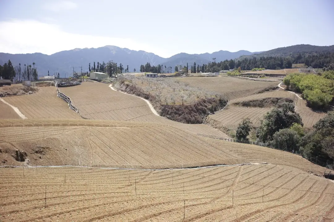 捶骋五金工具与电动工具型号参数对照及选型建议