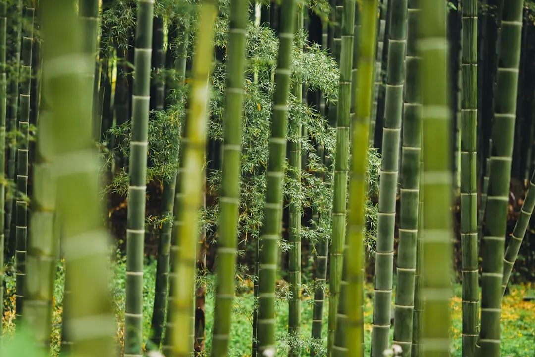 工厂仓储劳保用品配置标准与安全管理规范详解