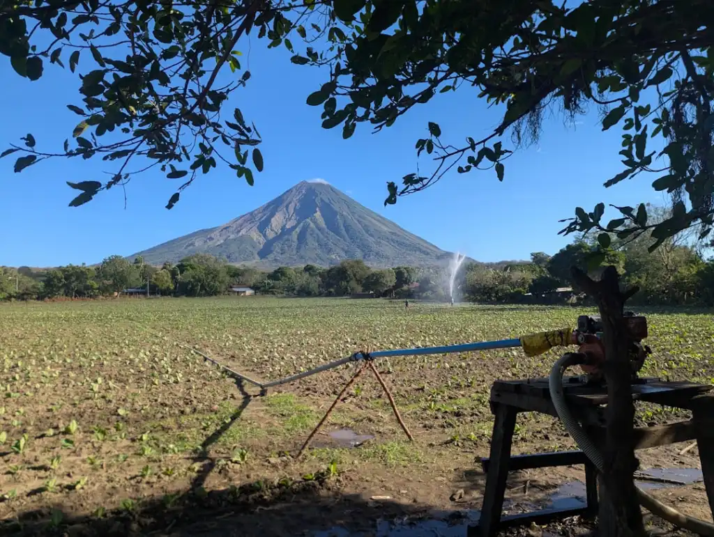 电动工具锂电池维护指南：延长使用寿命的关键技术要点