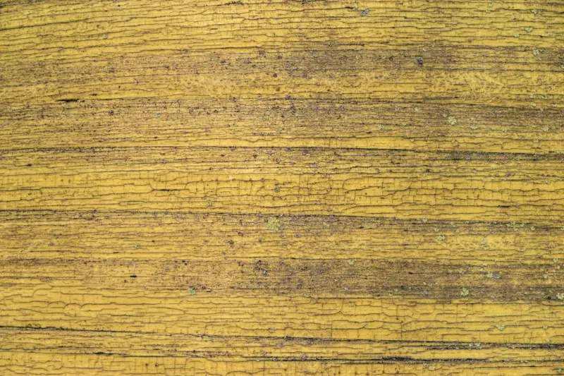 锤骋品牌电动工具型号参数对比：角磨机与电钻性能差异分析